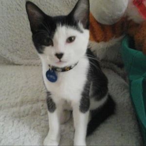 Meet your Posher, Dana